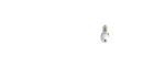 Probe 7 LED Ambar 590nm e 150mW para Novo Laserpulse - Ibramed