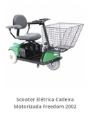 Scooter Elétrica Cadeira Motorizada 2002 - Freedom