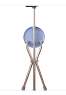 Bengala Banco - Longevitech